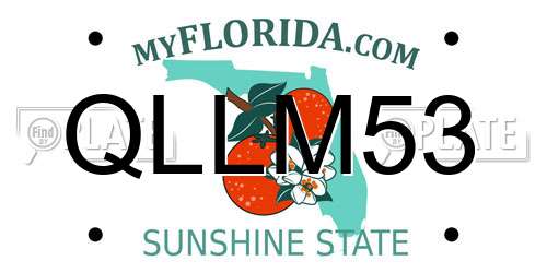 QLLM53 Florida License Plate