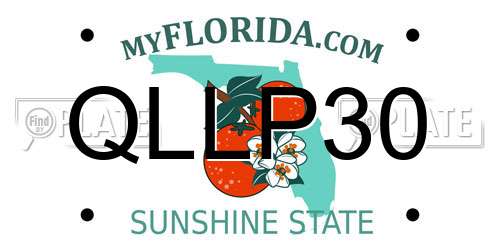 QLLP30 Florida License Plate