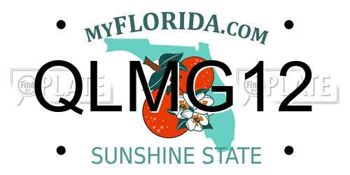 QLMG12 Florida License Plate