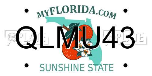 QLMU43 Florida License Plate