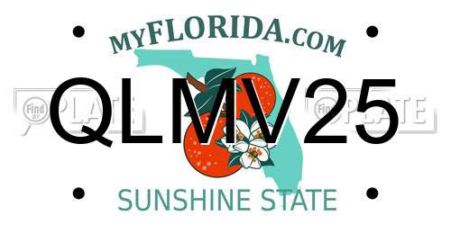 QLMV25 Florida License Plate