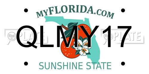 QLMY17 Florida License Plate