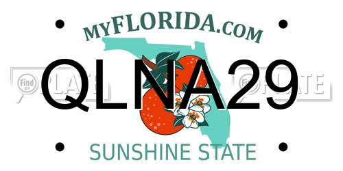 QLNA29 Florida License Plate