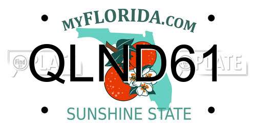 QLND61 Florida License Plate