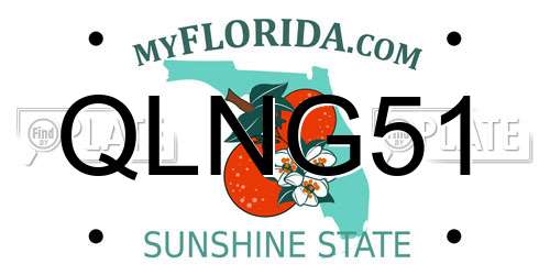 QLNG51 Florida License Plate