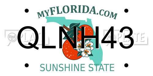 QLNH43 Florida License Plate