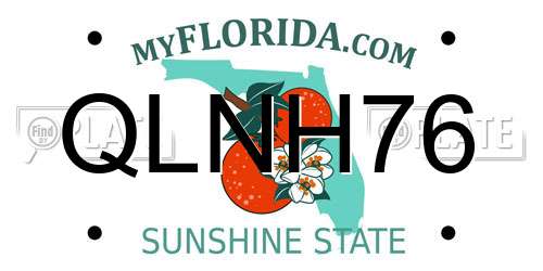 QLNH76 Florida License Plate