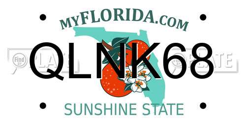 QLNK68 Florida License Plate