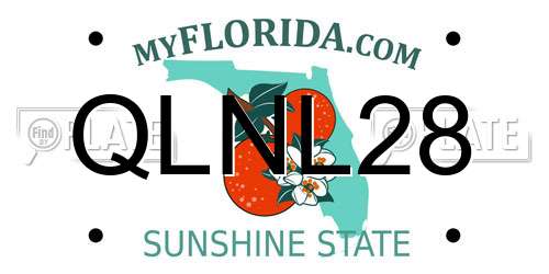 QLNL28 Florida License Plate