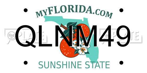 QLNM49 Florida License Plate