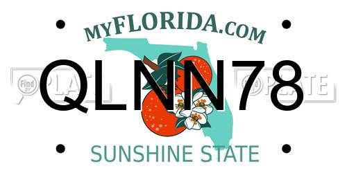 QLNN78 Florida License Plate