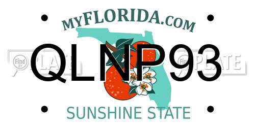 QLNP93 Florida License Plate