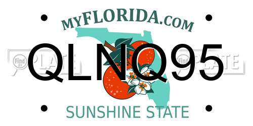 QLNQ95 Florida License Plate