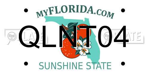 QLNT04 Florida License Plate