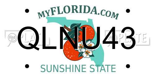QLNU43 Florida License Plate