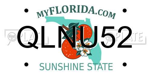 QLNU52 Florida License Plate