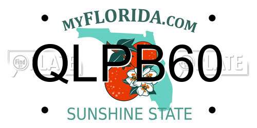 QLPB60 Florida License Plate