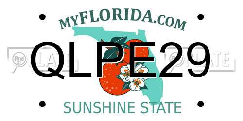 QLPE29 Florida License Plate