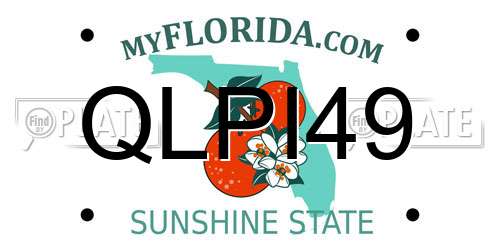 QLPI49 Florida License Plate
