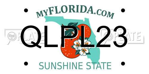 QLPL23 Florida License Plate
