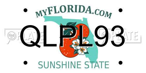 QLPL93 Florida License Plate