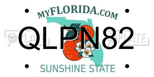 QLPN82 Florida License Plate