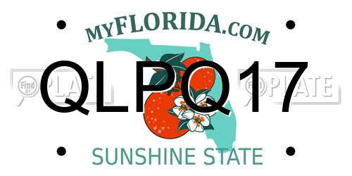 QLPQ17 Florida License Plate