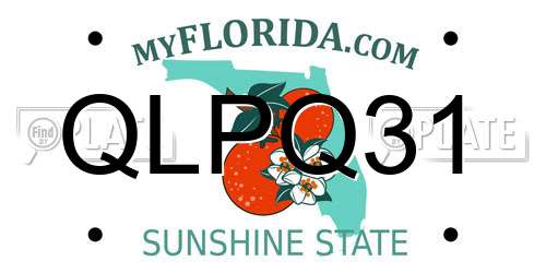 QLPQ31 Florida License Plate