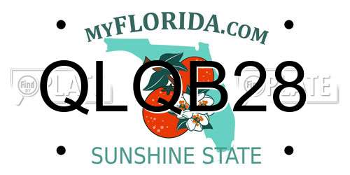 QLQB28 Florida License Plate