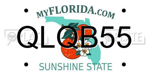 QLQB55 Florida License Plate