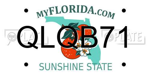 QLQB71 Florida License Plate