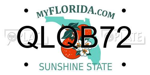QLQB72 Florida License Plate