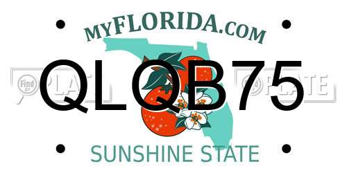 QLQB75 Florida License Plate