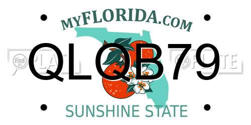 QLQB79 Florida License Plate