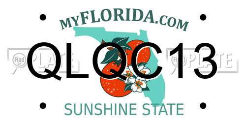 QLQC13 Florida License Plate