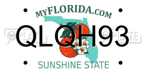 QLQH93 Florida License Plate