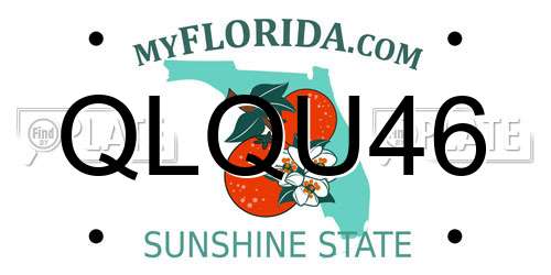 QLQU46 Florida License Plate
