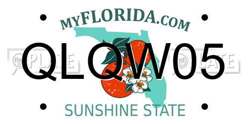 QLQW05 Florida License Plate