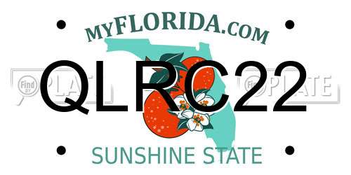 QLRC22 Florida License Plate