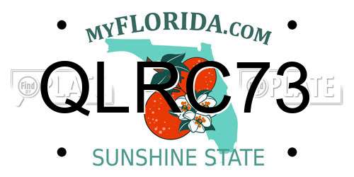 QLRC73 Florida License Plate
