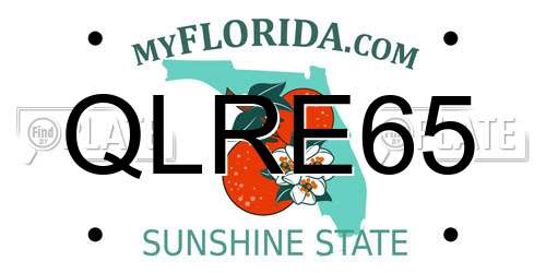 QLRE65 Florida License Plate