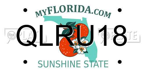 QLRU18 Florida License Plate