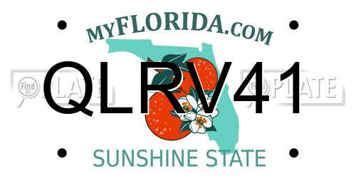 QLRV41 Florida License Plate