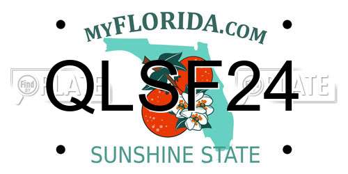 QLSF24 Florida License Plate