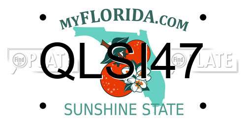 QLSI47 Florida License Plate