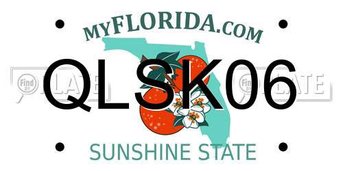 QLSK06 Florida License Plate