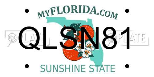 QLSN81 Florida License Plate