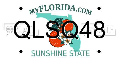 QLSQ48 Florida License Plate