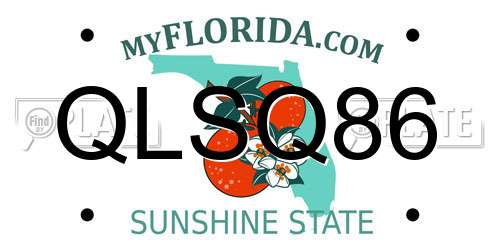 QLSQ86 Florida License Plate