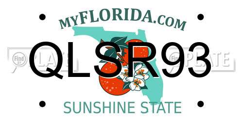 QLSR93 Florida License Plate